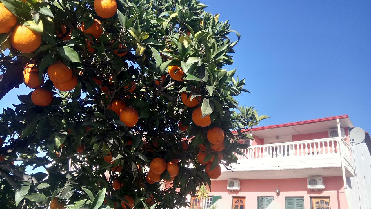 Flamingo Apartments Moraitika Corfu Exterior foto